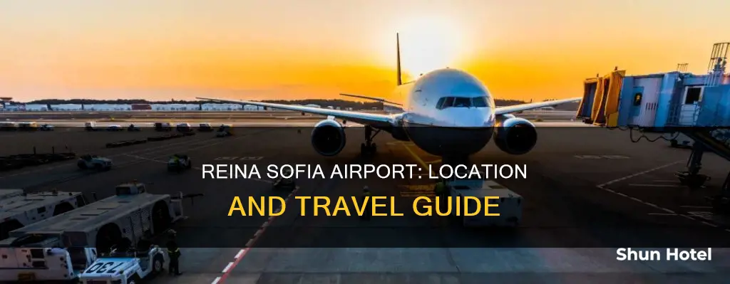 where is sur reina sofia airport