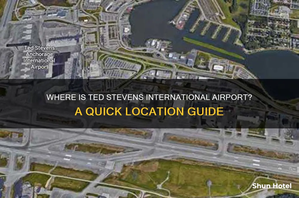 where is ted stevens international airport