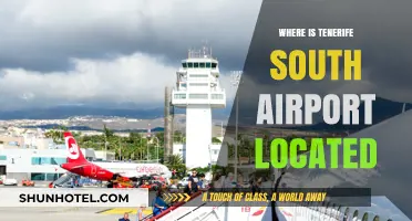 Tenerife South Airport: Location and Travel Guide