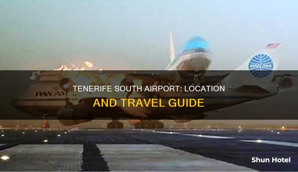 where is tenerife south airport located