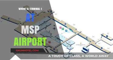 Navigating MSP Airport: Your Guide to Locating Terminal 1
