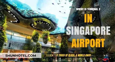 Navigating Singapore Airport: A Guide to Locating Terminal 2