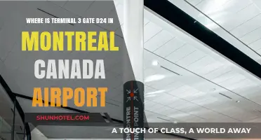 Montreal Airport Gate D24: Finding Your Way