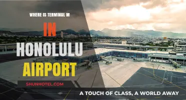 Navigating Honolulu Airport: Your Guide to Finding Terminal M