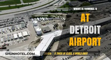 Navigating Detroit Airport: A Guide to Locating Terminal N