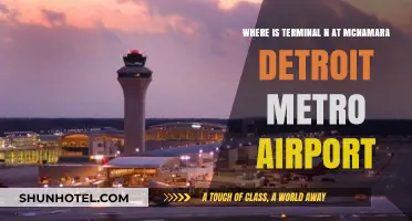 Navigating McNamara: Locating Terminal N at Detroit Metro Airport