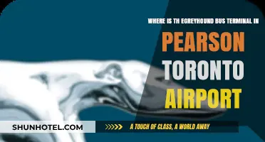 Navigating Pearson Toronto Airport: Locating the Greyhound Bus Terminal