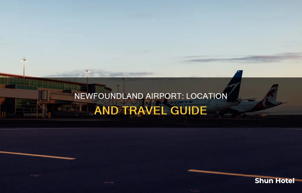 where is the airport in newfoundland