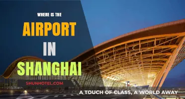 Shanghai's Airports: Location and Travel Tips