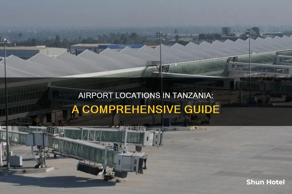 where is the airport in tanzania