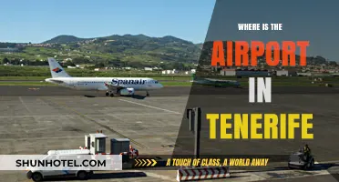 Tenerife Airport: Location and Travel Tips
