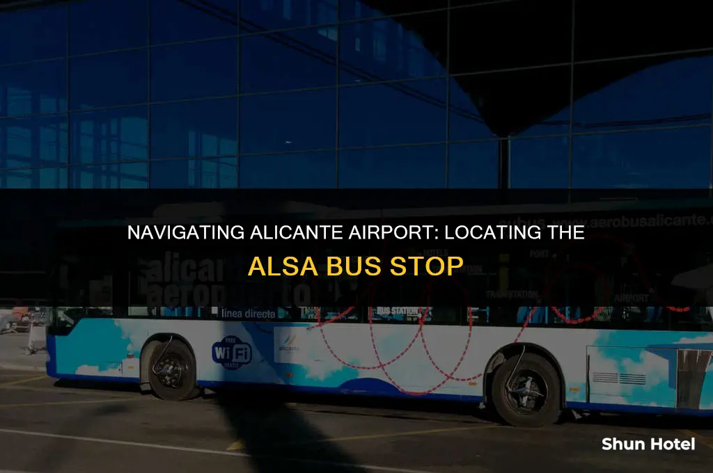 where is the alsa bus stop at alicante airport terminal