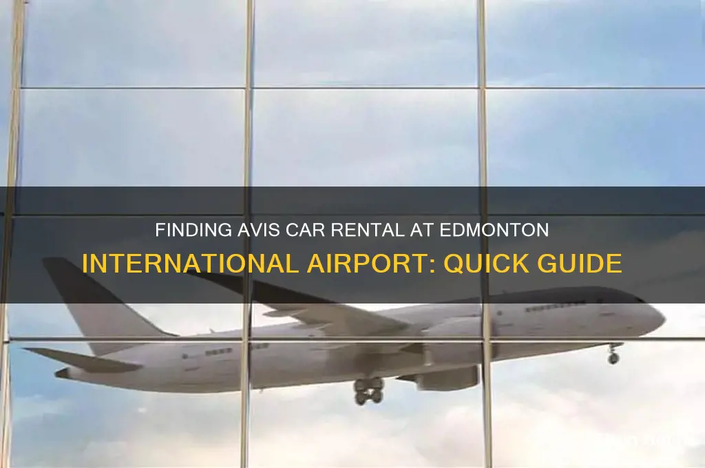 where is the avis rental car at edmonton international airport