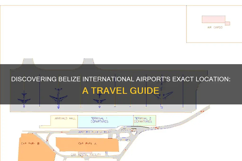 where is the belize international airport located