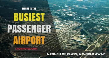 Which Airport Handles the Most Passengers?