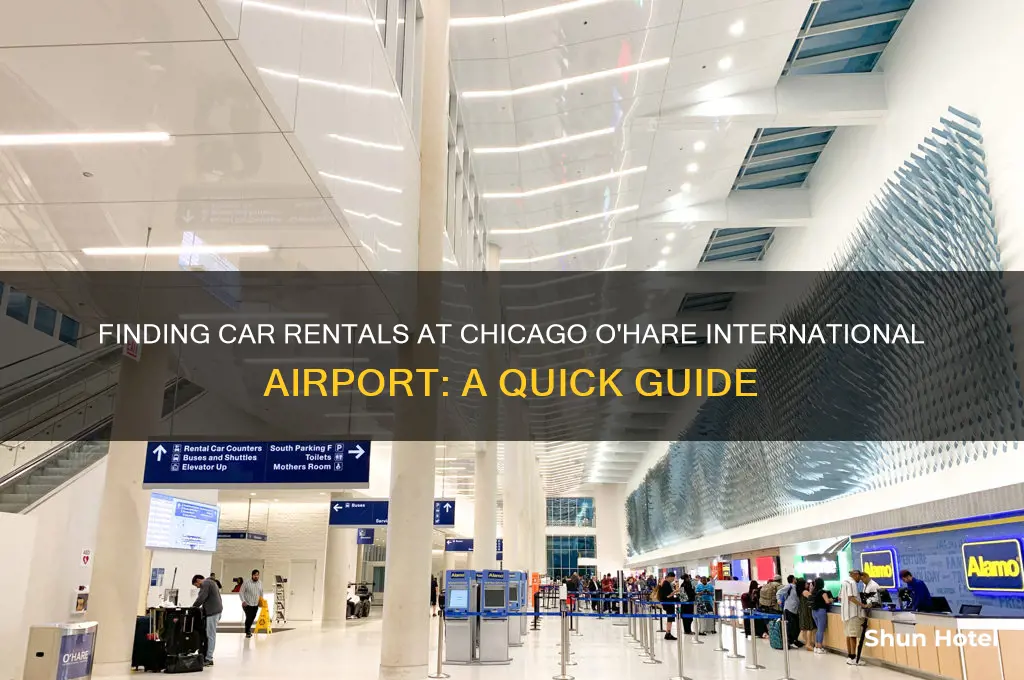 where is the car rental at chicago o