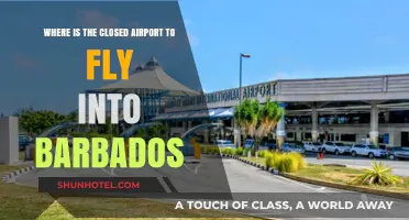 Closest Airport to Barbados: Your Ultimate Guide to Convenient Flights