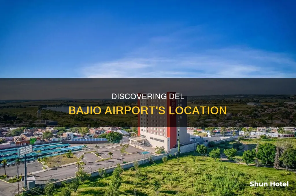 where is the del bajio airport