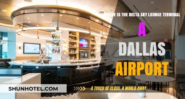 Exploring Dallas Airport: Delta Sky Lounge Terminal A Guide
