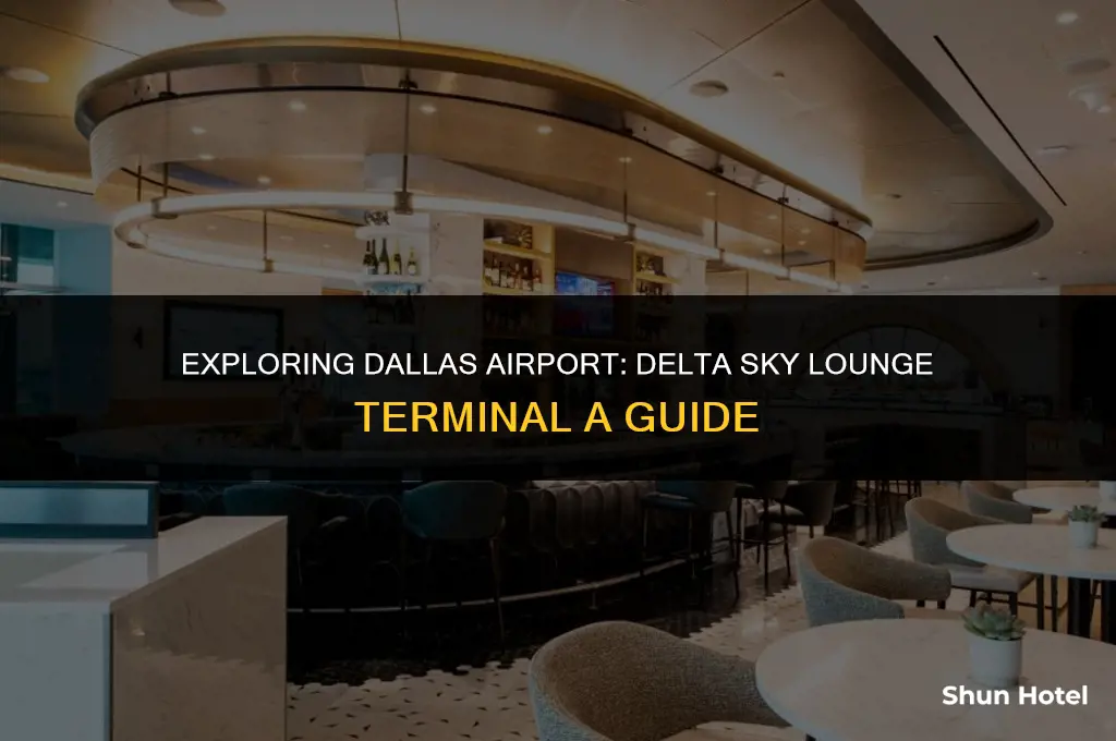 where is the delta sky lounge terminal a dallas airport