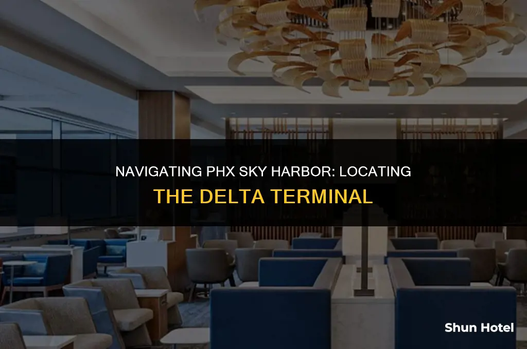 where is the delta terminal at phx sky harbor airport