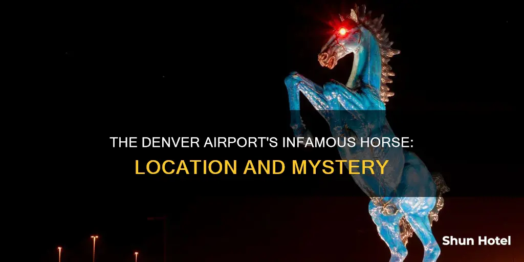where is the denver airport horse