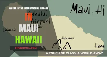 Discovering Maui's International Airport: Location and Travel Tips