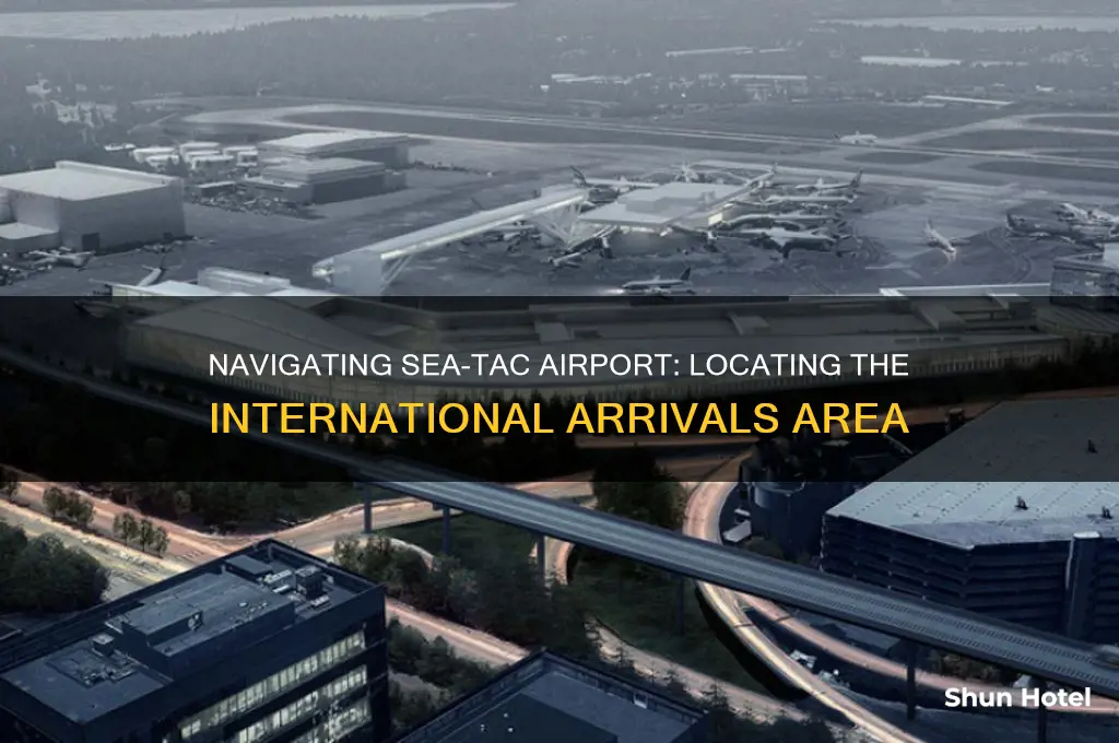 where is the international arrivals area at sea-tac airport
