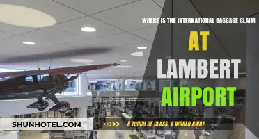 Navigating Lambert Airport: Locating the International Baggage Claim Area