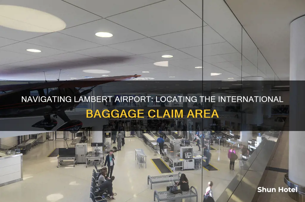 where is the international baggage claim at lambert airport