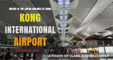 Japan Airlines at Hong Kong International Airport: Terminal Guide