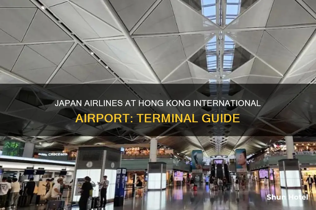 where is the japan airlines at hong kong international airport