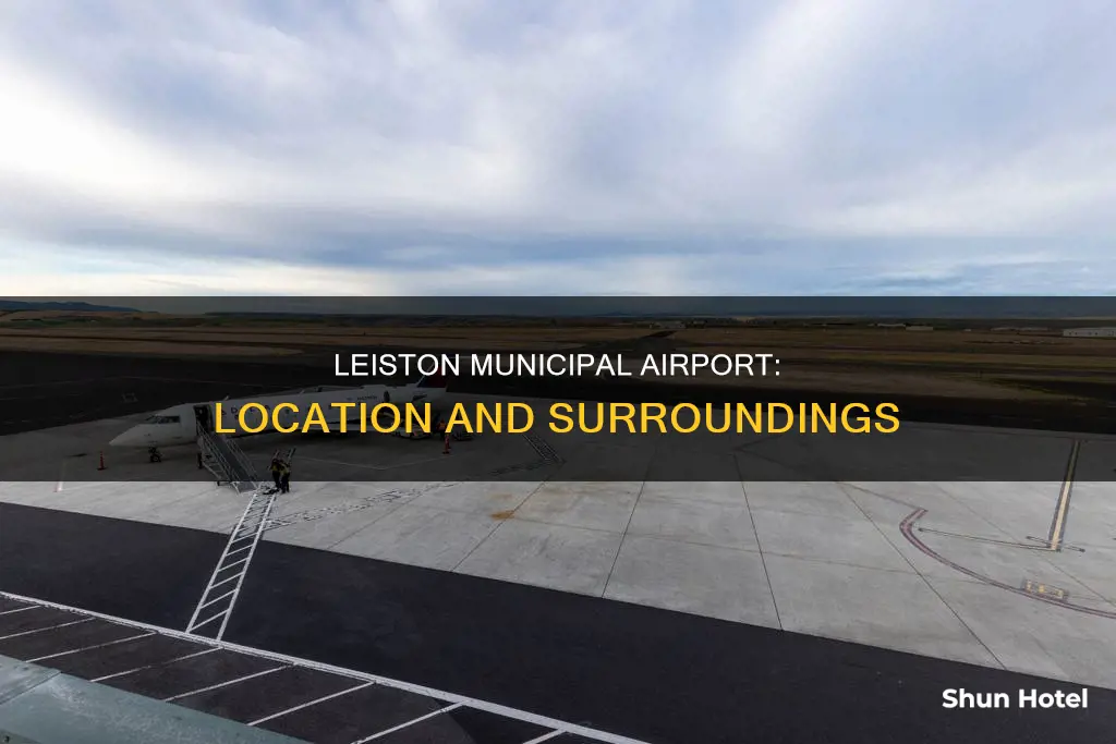 where is the leeiston municipal airport