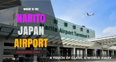 Narita International Airport: Gateway to Japan