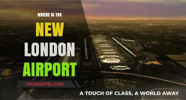 London's New Airport: Where and When?