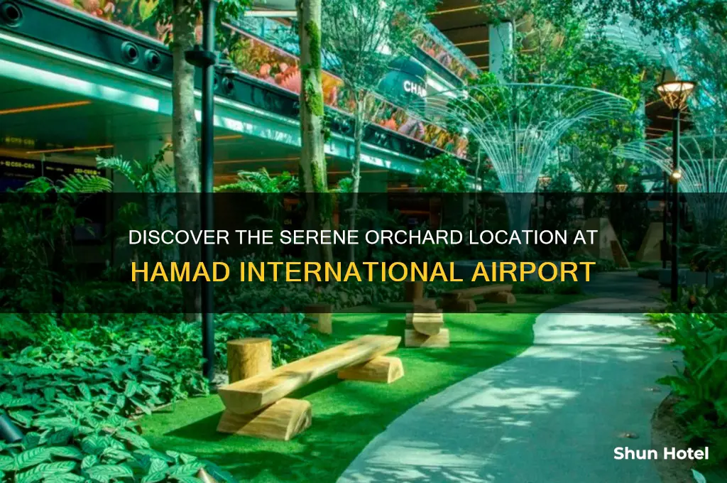 where is the orchard in hamad international airport