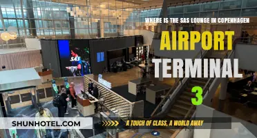 Discovering Comfort: SAS Lounge Location in Copenhagen Airport Terminal 3