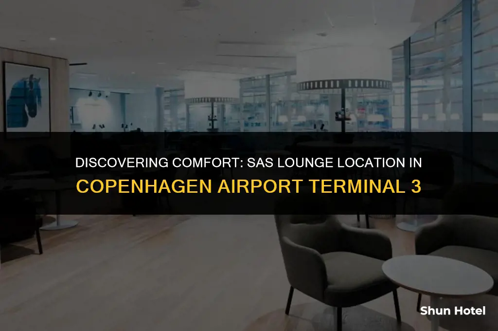 where is the sas lounge in copenhagen airport terminal 3
