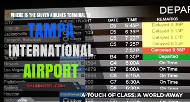Silver Airlines Terminal Location at Tampa International Airport Guide