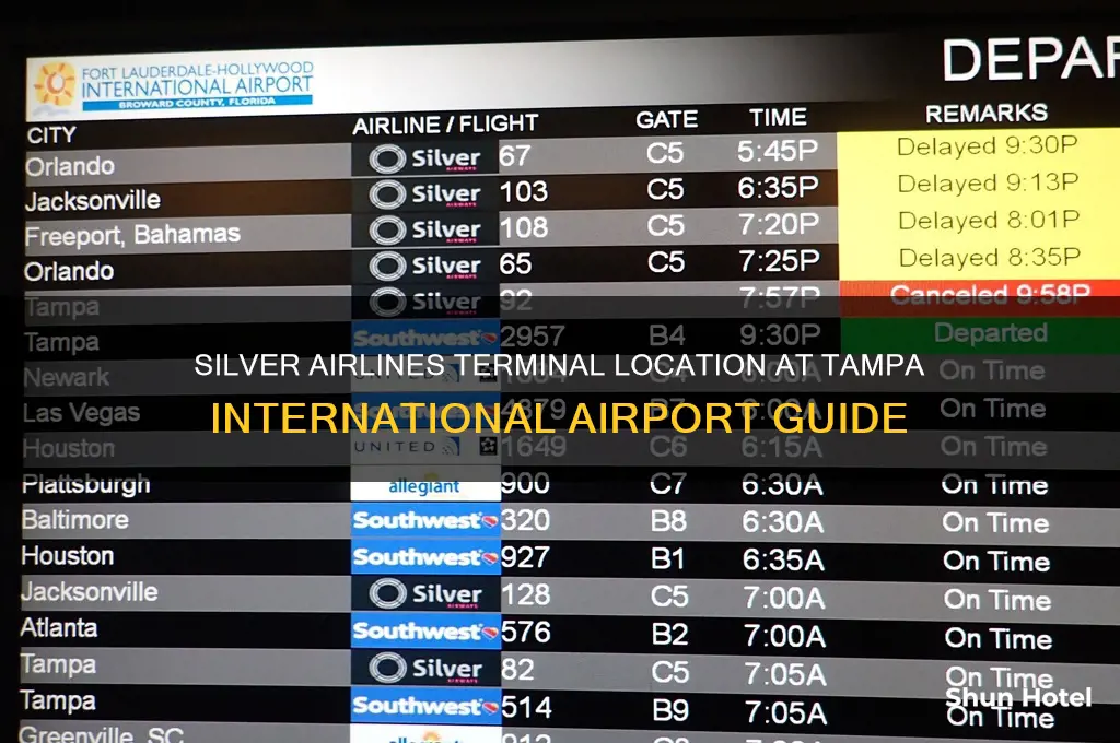 where is the silver airlines terminal at tampa international airport