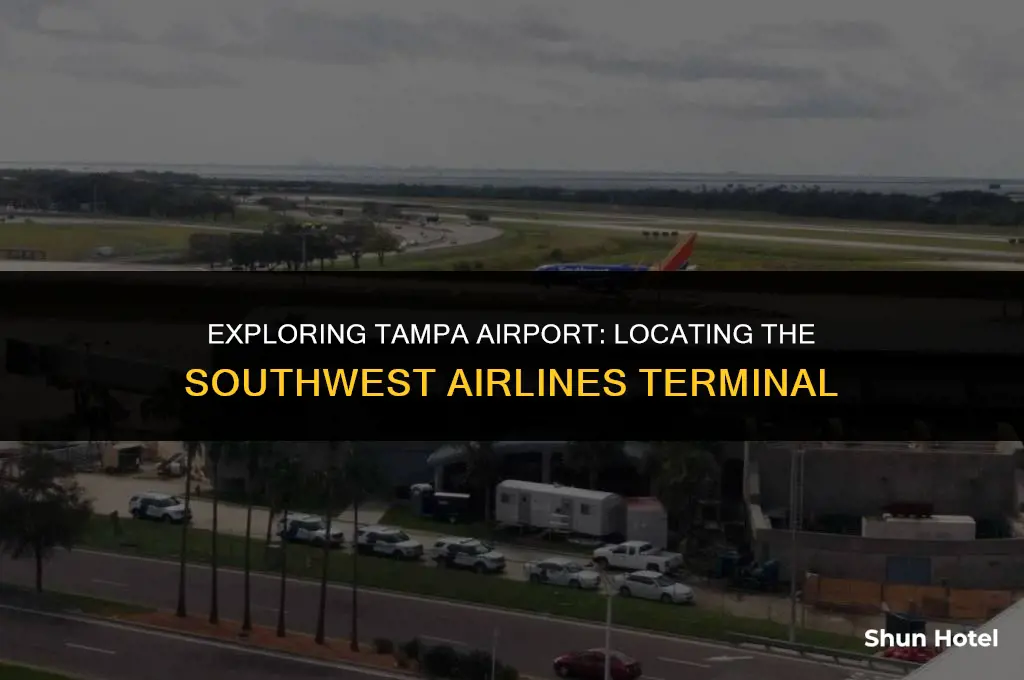 where is the southwest airlines terminal at tampa airport