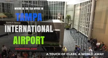 Finding the TSA Office at Tampa International Airport: A Quick Guide