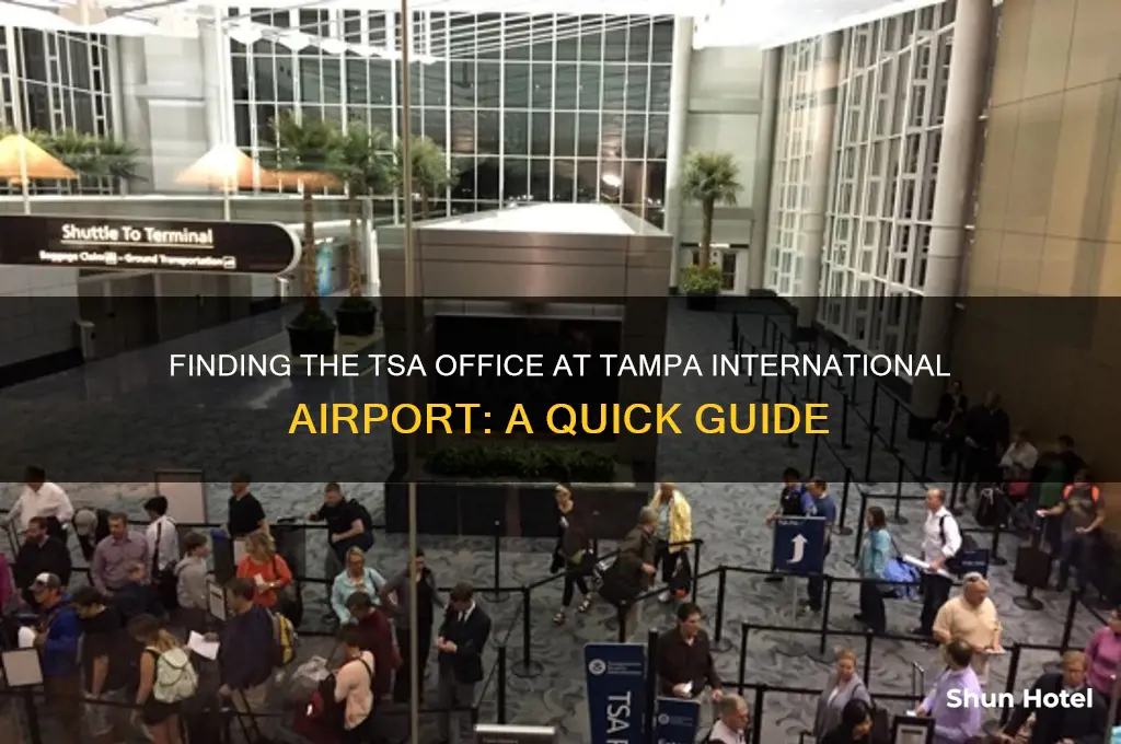 where is the tsa office in tampa international airport