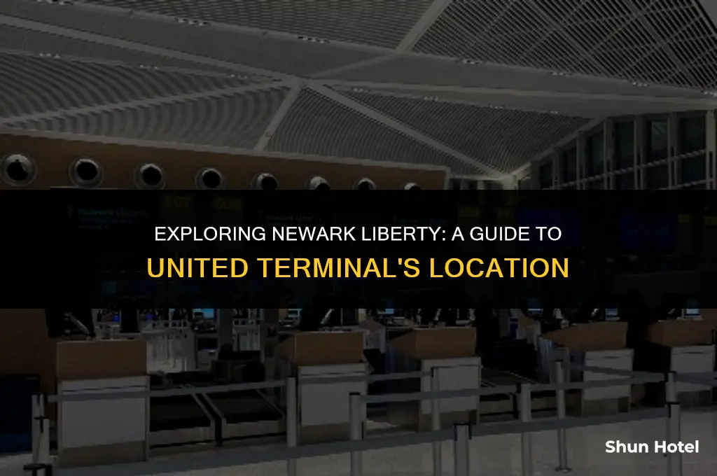 where is the united terminal at ewr airport