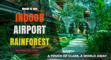 Explore the Indoor Rainforest at Singapore's Jewel Changi Airport