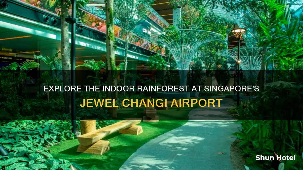 where is this indoor airport rainforest