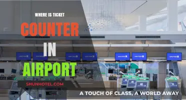 Navigating the Airport: Finding the Ticket Counter
