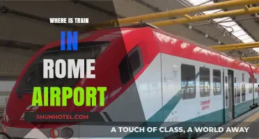 Rome Airport Train: Where to Board?