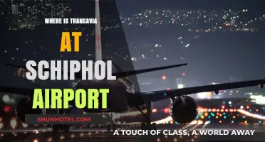 Transavia's Base: Navigating Schiphol Airport