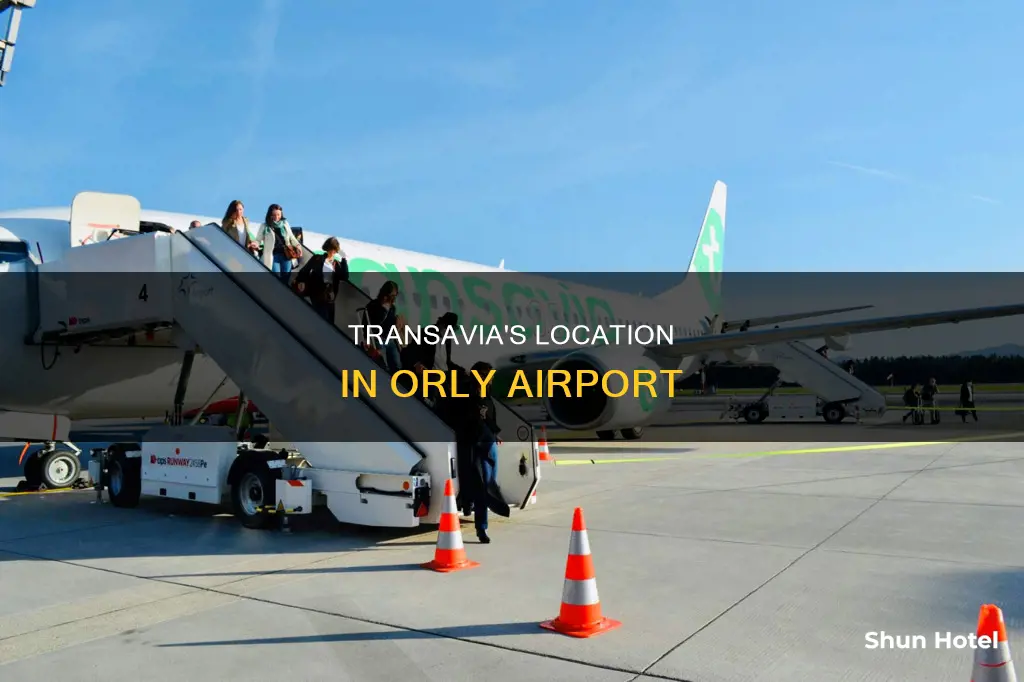 where is transavia in orly airport